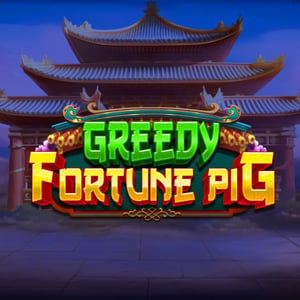 Greedy Fortune Pig